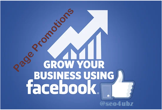 grow-your-business-using-facebook-Seo4buz